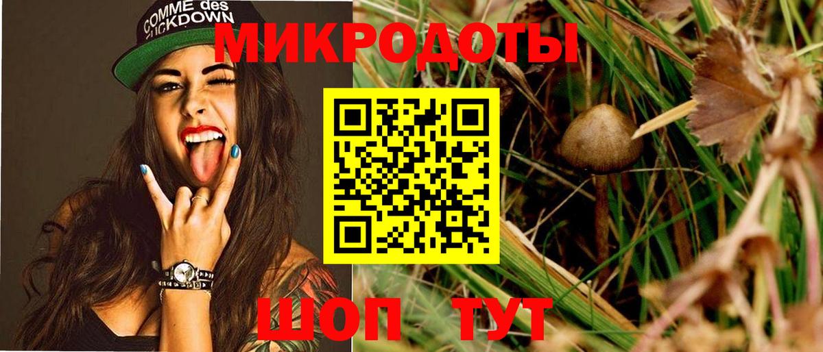 Галлюциногенные грибы Psilocybine cubensis Магнитогорск